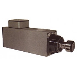 Elettromandrino Elte TMPE2S 9/2 